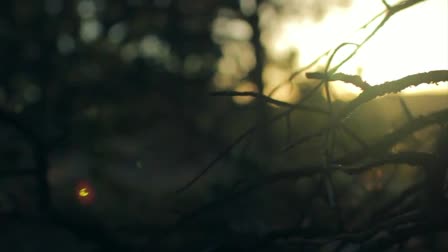 Blue Carousel Productions 2012 Cinematography Reel