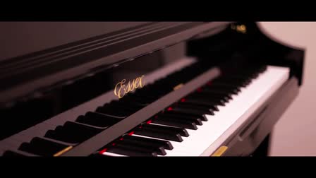 The Vivaldi Music Academy