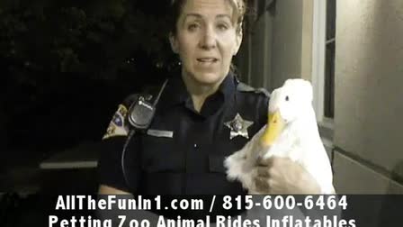 Call 815-600-6464-Animal Rental,Animal Rentals,Animal Rental Chicago,Animal Rentals Chicago,Animal Rental Chicagoland Area,Animal Rentals Chicagoland Area