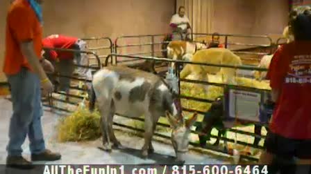 Call 815-600-6464-Animal Rental,Animal Rentals,Animal Rental Chicago,Animal Rentals Chicago,Animal Rental Chicagoland Area,Animal Rentals Chicagoland Area