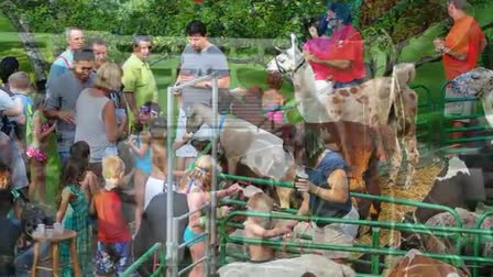Call 815-600-6464-Animal Rental,Animal Rentals,Animal Rental Chicago,Animal Rentals Chicago,Animal Rental Chicagoland Area,Animal Rentals Chicagoland Area