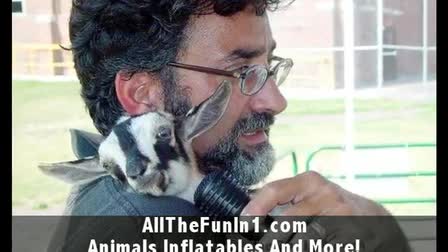 Call 815-600-6464-Animal Rental,Animal Rentals,Animal Rental Chicago,Animal Rentals Chicago,Animal Rental Chicagoland Area,Animal Rentals Chicagoland Area
