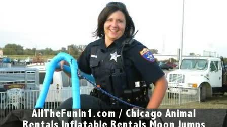 Call 815-600-6464-Animal Rental,Animal Rentals,Animal Rental Chicago,Animal Rentals Chicago,Animal Rental Chicagoland Area,Animal Rentals Chicagoland Area