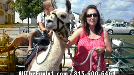 Call 815-600-6464-Animal Rental,Animal Rentals,Animal Rental Chicago,Animal Rentals Chicago,Animal Rental Chicagoland Area,Animal Rentals Chicagoland Area