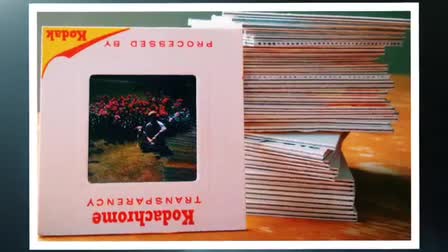 DittoBee does so much more than photo scanning. All that we do in just 60 seconds: