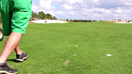 Fairway Golf Buddy