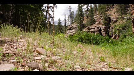Kinder Crossing - Magic Lantern test footage