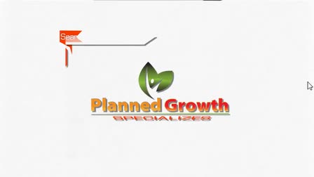 Planned Growth: SEO Services