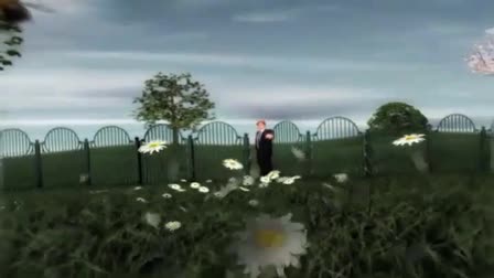 Pushing Daisies