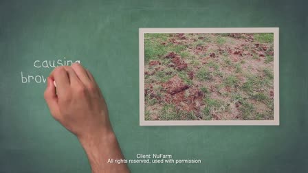 Motion Graphics Demo Reel