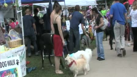 Grateful Dog Walk Pet Fair 2013 