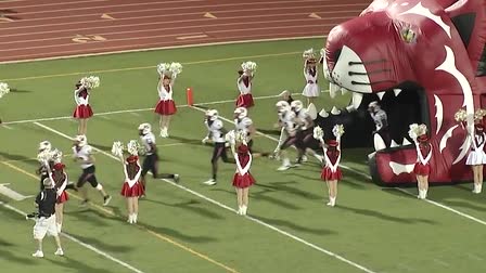 Sports Reel