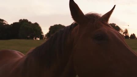 RED Reel 2014 - Grant Smucker