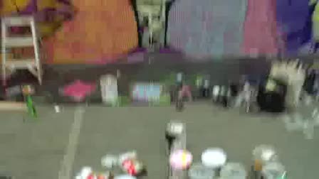 Afro Punk Festival 2009