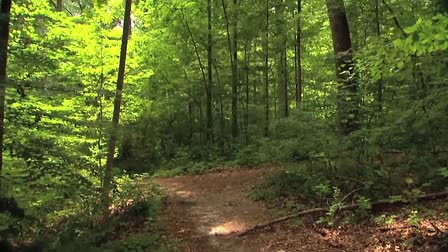 Olmsted Plein Air Invitational 2015 