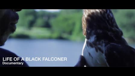Editing Demo Reel