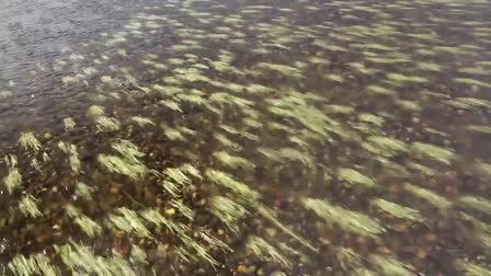 Orvis Video Shoot