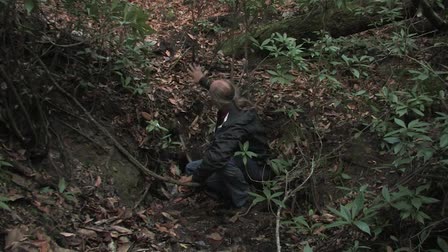 Corridors of Life: The St. Andrew Bay Watershed (Excerpt)