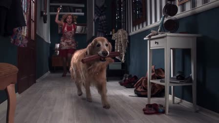 Director's reel 2014