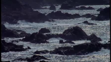 Big Sur Land Trust