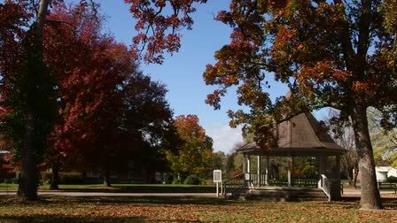 "Fall in the Ozarks"