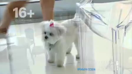 E! Entertainment