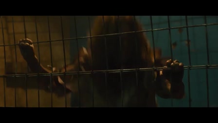 The Herd Trailer