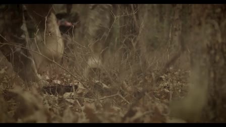 Cinematographer - Director of Photography showreel