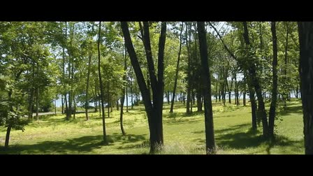 Tom Scholl Cinematographers Reel