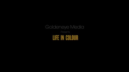 Life in Color