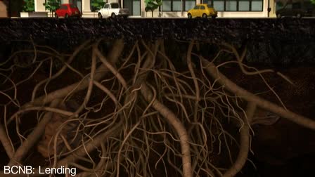 Bazillion Pictures Showcases Its ‘Strong Roots’ In Animation + VFX In An Award-Winning Campaign for Boone County National Bank