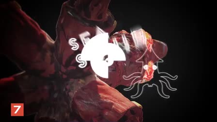 JRCM 2015 Reel 