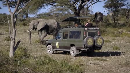 Africa Dream Safaris Mini-Docs Teaser