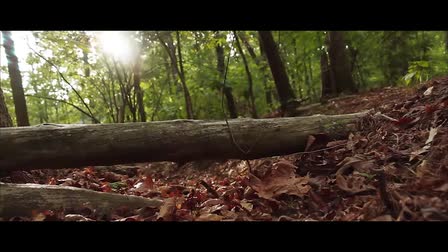 2014 Showreel