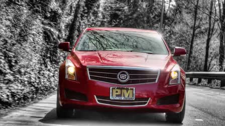Prestige Motors - Colors