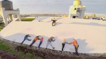Aerial Reel 