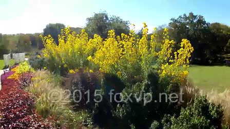 Quad-copter demo reel