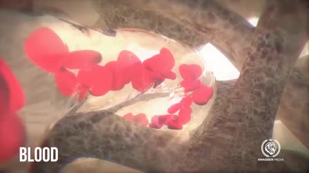 ES Animation Reel 2015