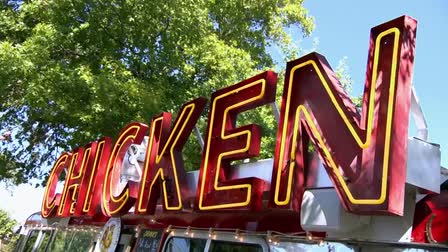 Ms P's Electric Cock 