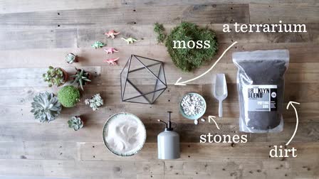 West Elm- How-to Series