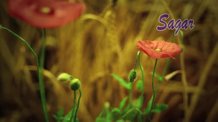 Pagol Hawa-Subir Sen