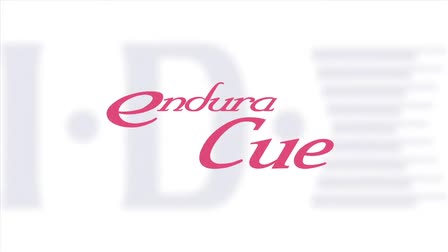 IDX CUE Series Batteries