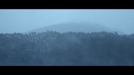 Skijoring - Come and See - Canon