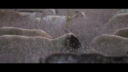 Daniel Kerrigan - 2015 Reel