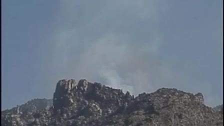 Wildfire Project