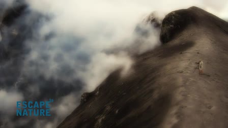 Trailer - Escape to Papua New Guinea