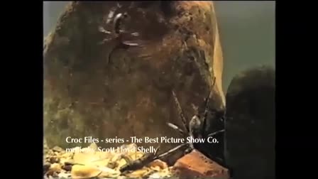 Scott Lloyd Shelly - composer - TV music reel