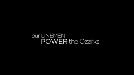 Powering the Ozarks