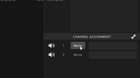Assigning audio channels in Catalyst Production Suite