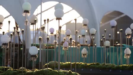 Adobe Max Event 2015 Sizzle